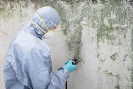 Why You Should Choose Our Mold Remediation Services in Chatsworth, GA